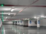DSC00424.jpg